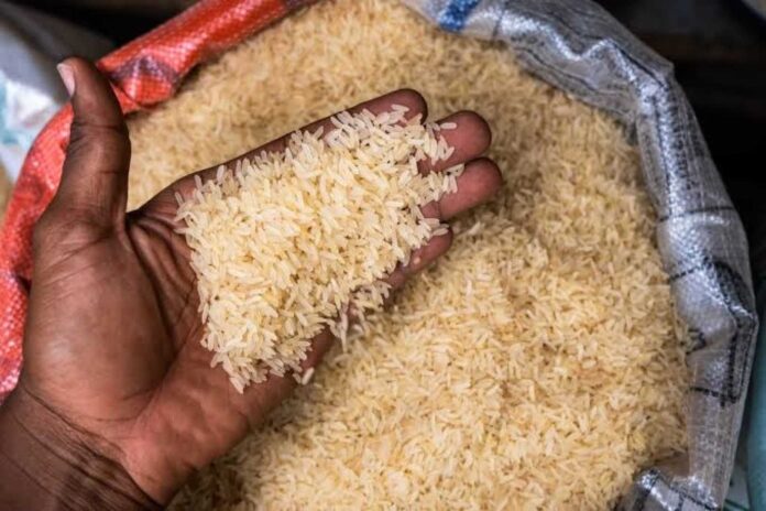 Nigeria Rice Import Policy