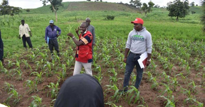 Nigerian Farmers Receiving Agricultural Support