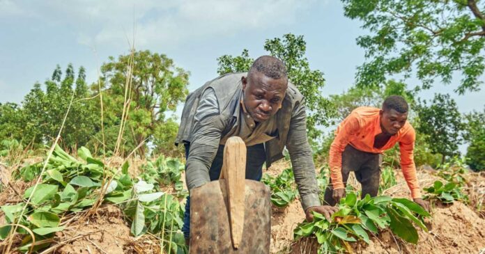 Nigerian Insecurity And Farming Communities Conflict