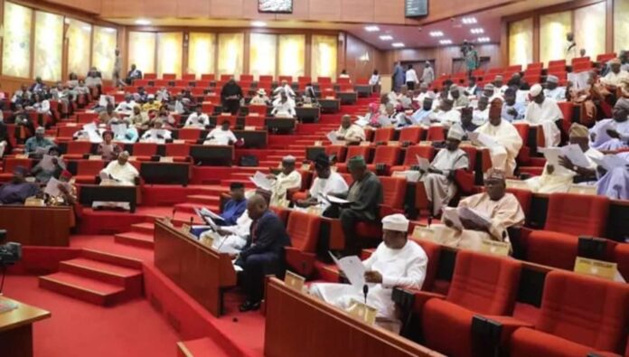 Nigerian Lawmakers Discussing Tax Laws