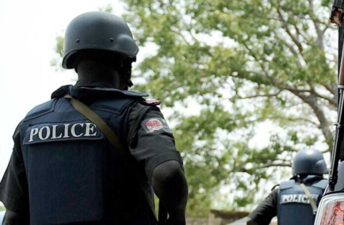 Nigerian Police Deployment