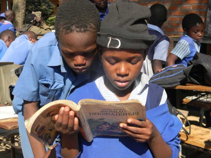 Nigerian Schools And Languages