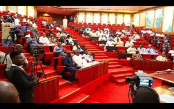 Nigerian Senate Members Discussing Electoral Amendments