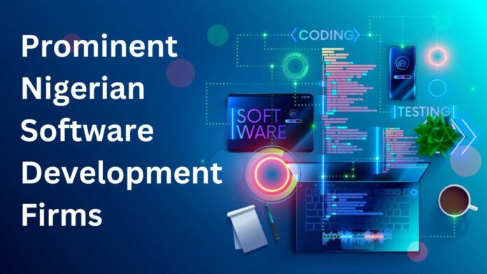 Nigerian Software Development Success