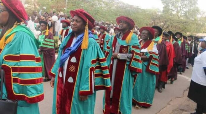 Nigerian University Lecturers