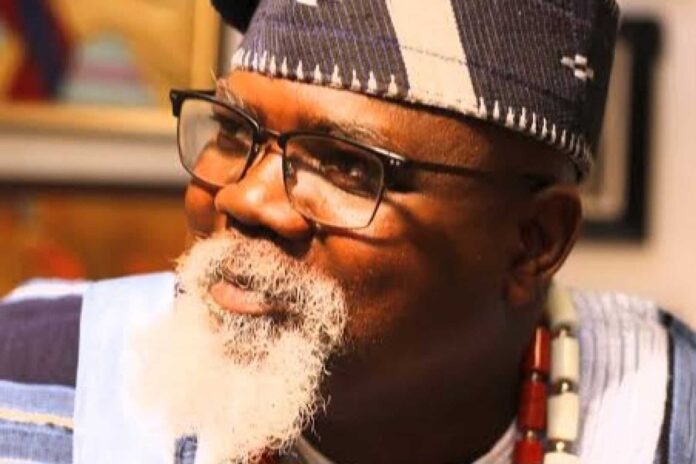 Niyi Aborisade Human Rights Lawyer