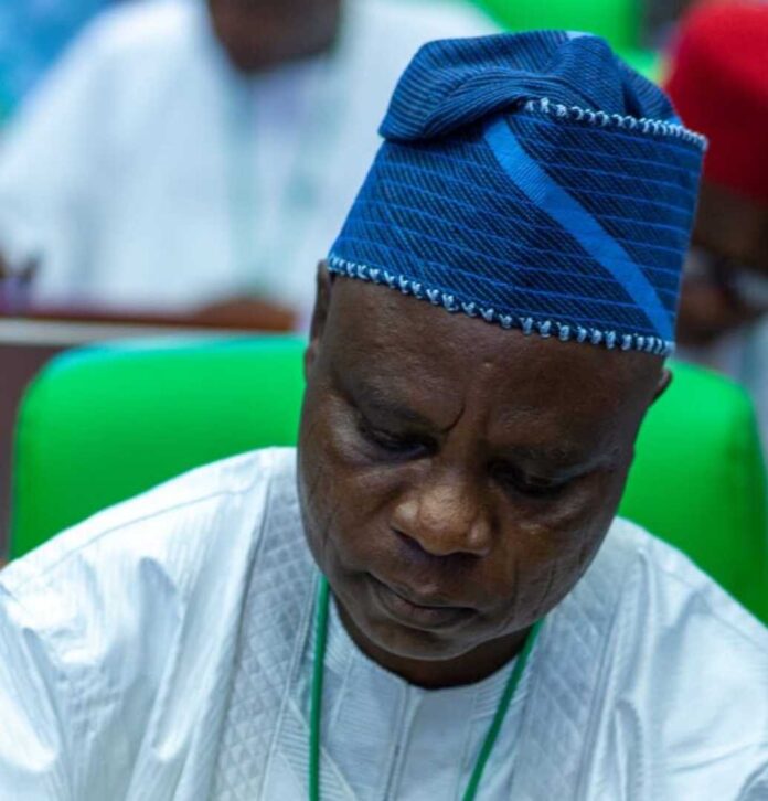 Odigbo Local Council Representation