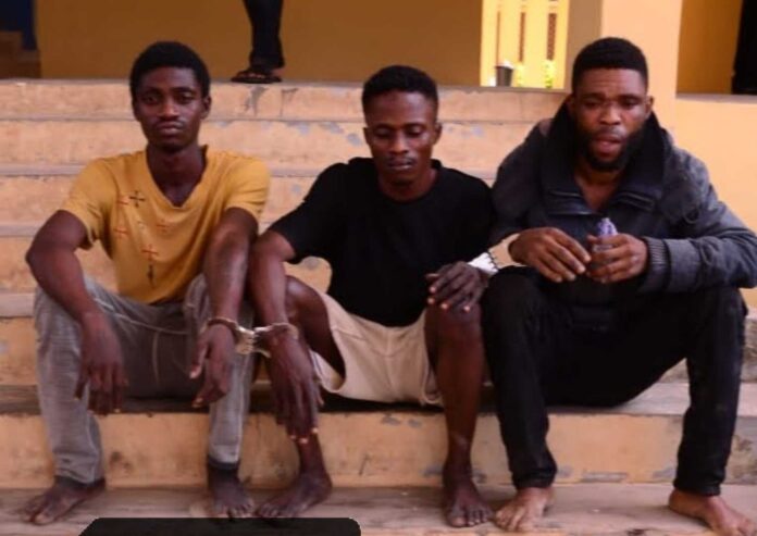 Ondo State Police Cult Arrest