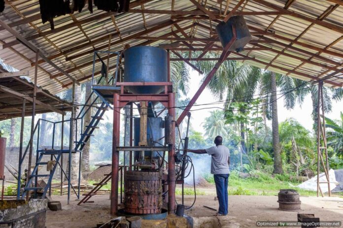 Palm Oil Processing Mill