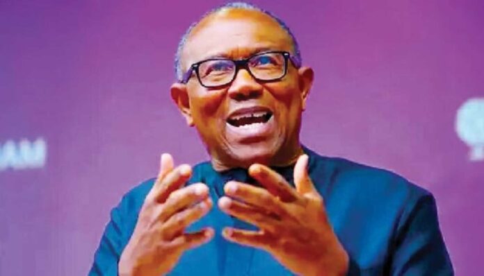 Peter Obi Electricity Grid Crisis