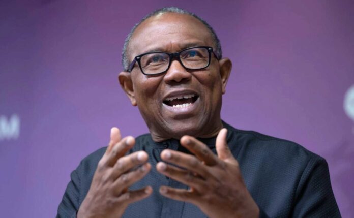 Peter Obi Nigeria Electricity Grid