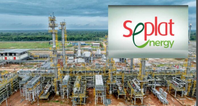 Seplat Energy Gas Processing Plant