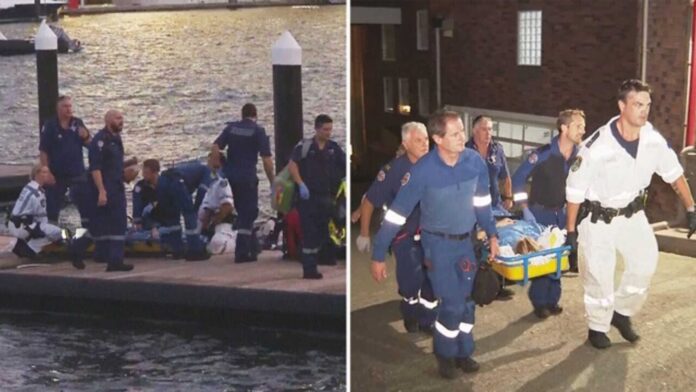 Shark Attack Sydney Harbour