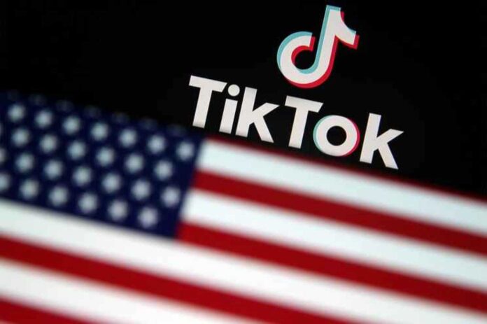 Tiktok Logo And Polish Flag