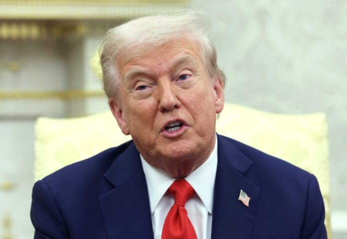 Trump Immigration Raids Minneapolis