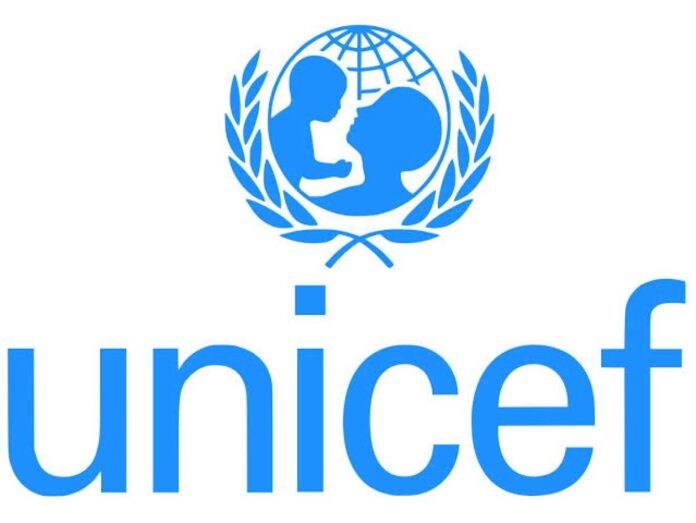 Unicef, Sokoto State, Child Protection