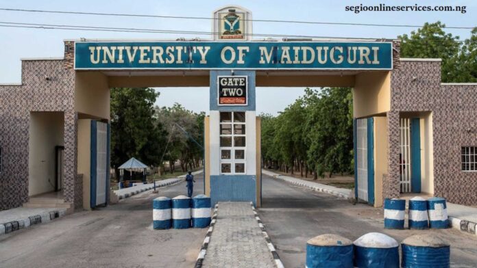University Of Maiduguri Campus