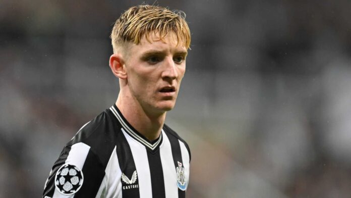 Anthony Gordon Footballer Transfer News