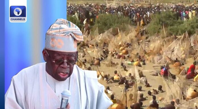 Bola Tinubu Argungu Fishing Festival