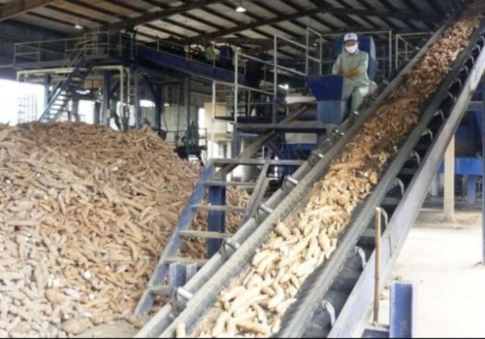 Cassava Processing Facility