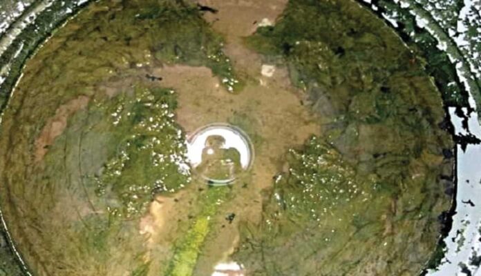 E. Coli Water Warning