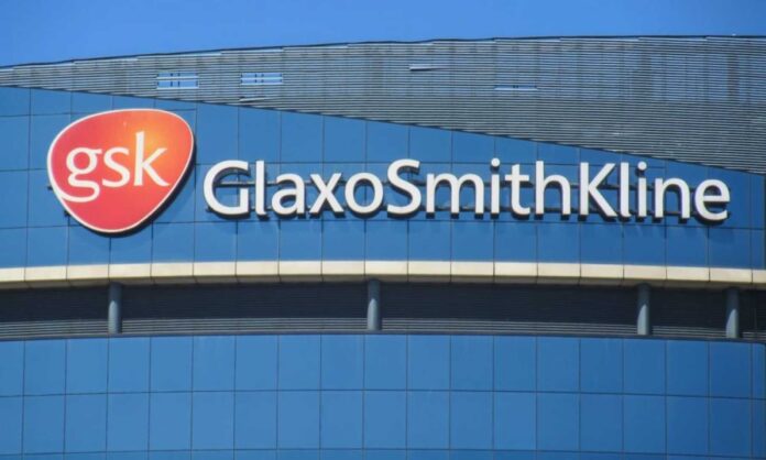 Gsk Profit Report 2025