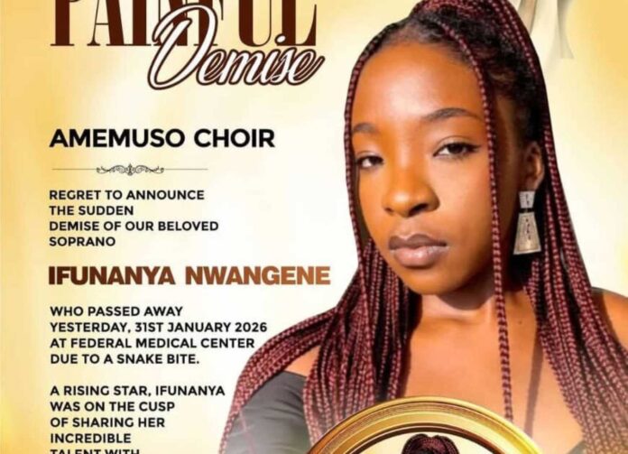 Ifunanya Nwangene Music Talent Snake Bite