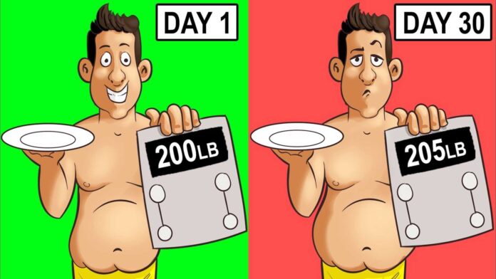 Intermittent Fasting Obesity Weight Loss