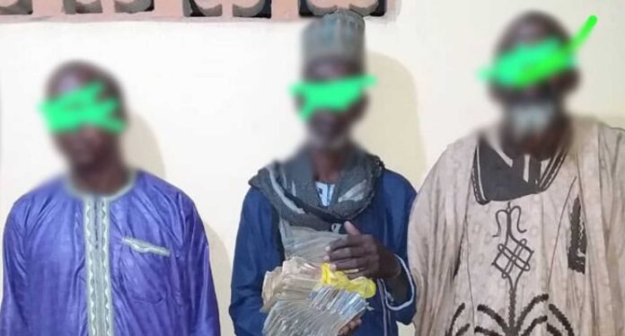 Kebbi State Police Arrest Terror Suspects