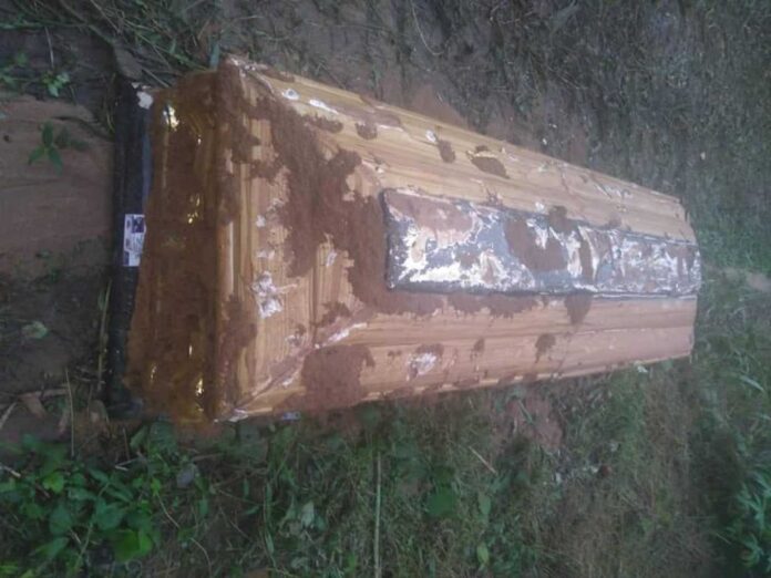 Man Exhuming Human Remains