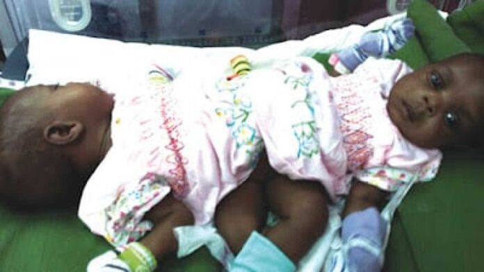 Miracle Amah Anambra Case