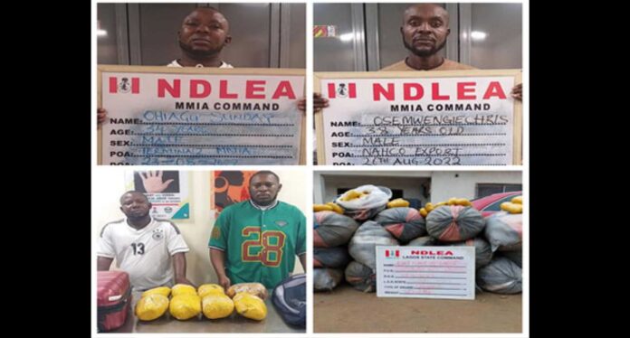 Ndlea Drug Arrest At Airport