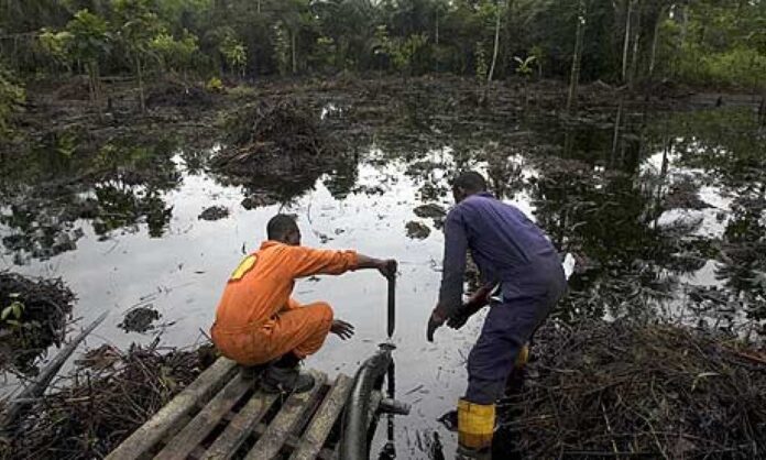 Niger Delta Oil Spill Cleanup