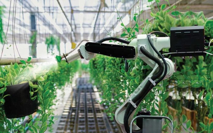 Nigerian Engineers In Agriculture