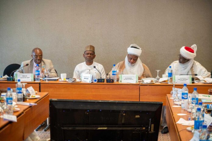 Nigerian Health Leaders Meeting