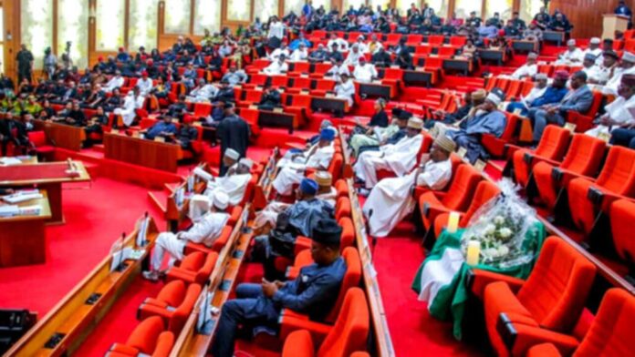 Nigerian Senate Discussion On Election Results
