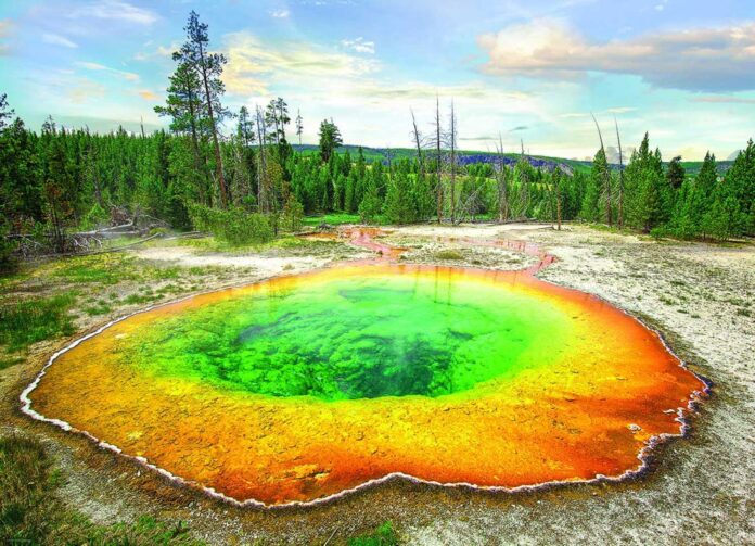 Valentine Geyser Yellowstone