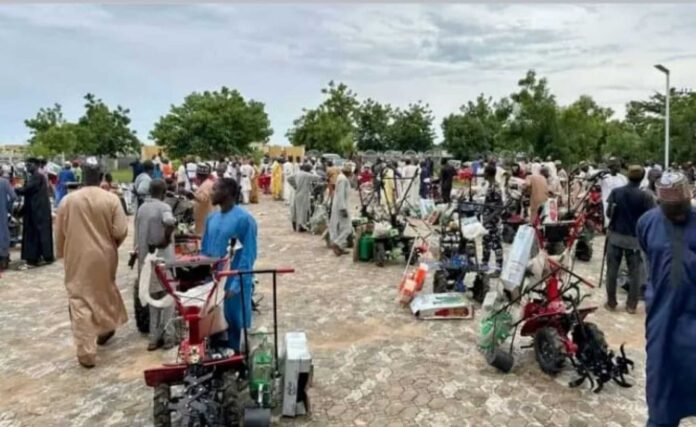 Yobe State Government Seedlings Project