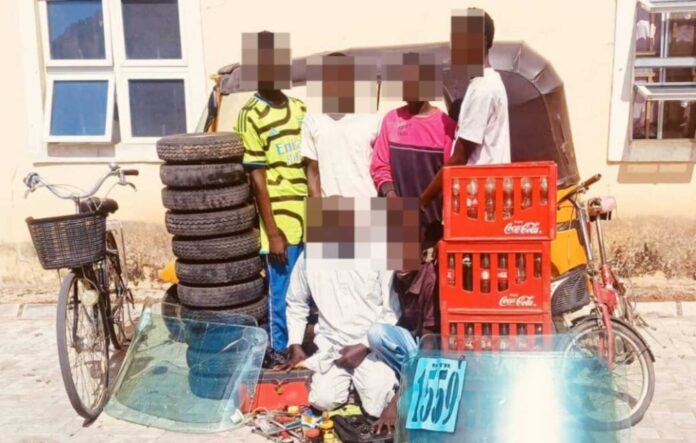 Yobe State Police Arrest Burglary Suspects