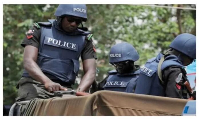 Yobe State Police Command Arrest Suspects