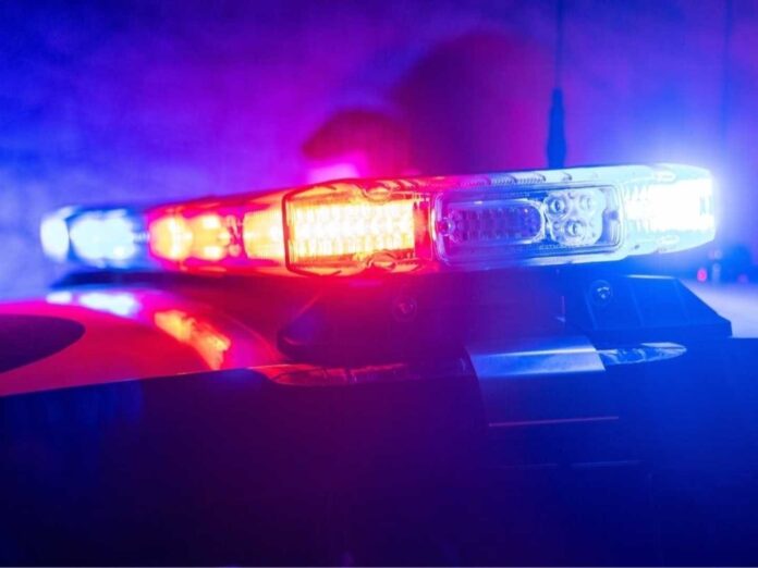 Michael Burke Court Appearance Fallbrook Shooting