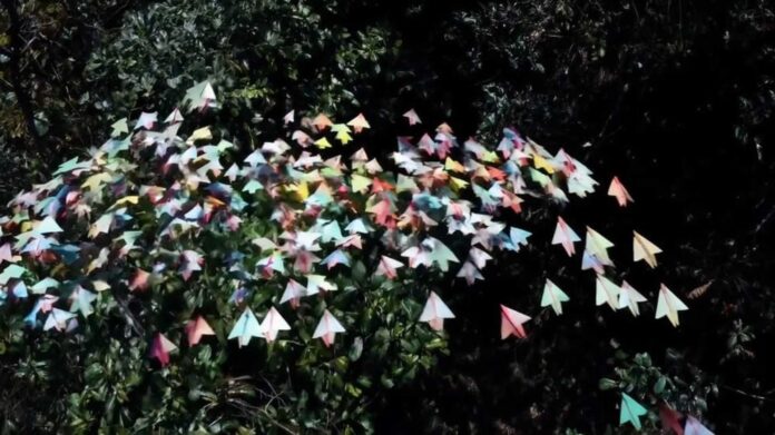 Openai Sora Video App Shutdown Announcement