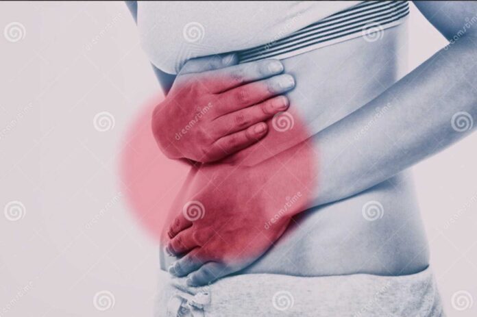 Roseburia Inulinivorans Gut Microbe Muscle Research