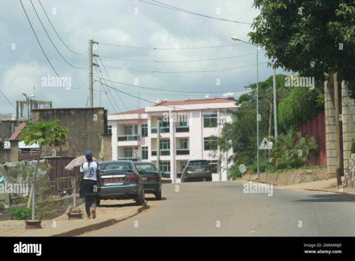 Wto Meeting In Yaounde Cameroon Delegates