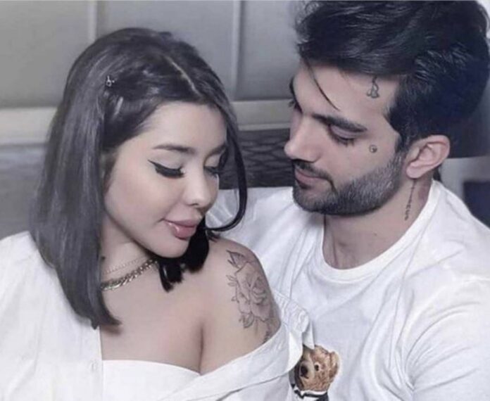 Hamideh Soleimani Afshar Us Arrest Ice